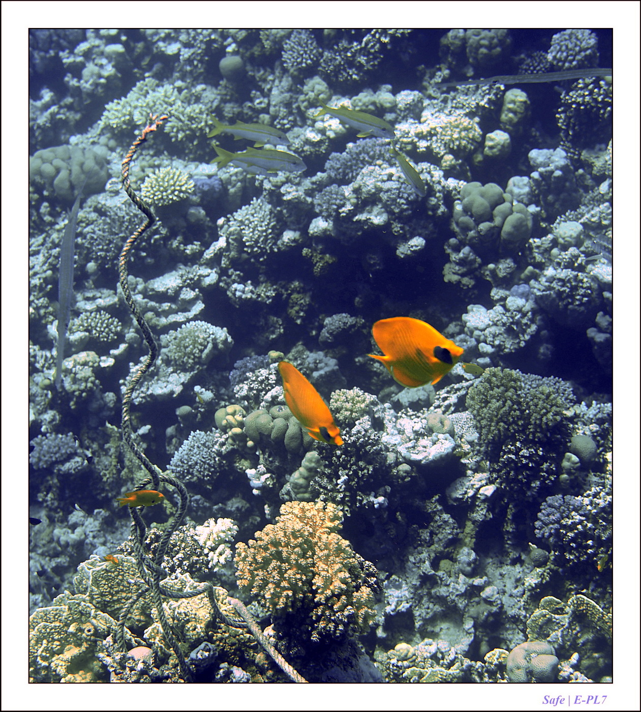 Hurghada - Juillet 2021 - 075